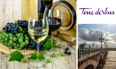Foire aux seconds vins 2019 de Bordeaux